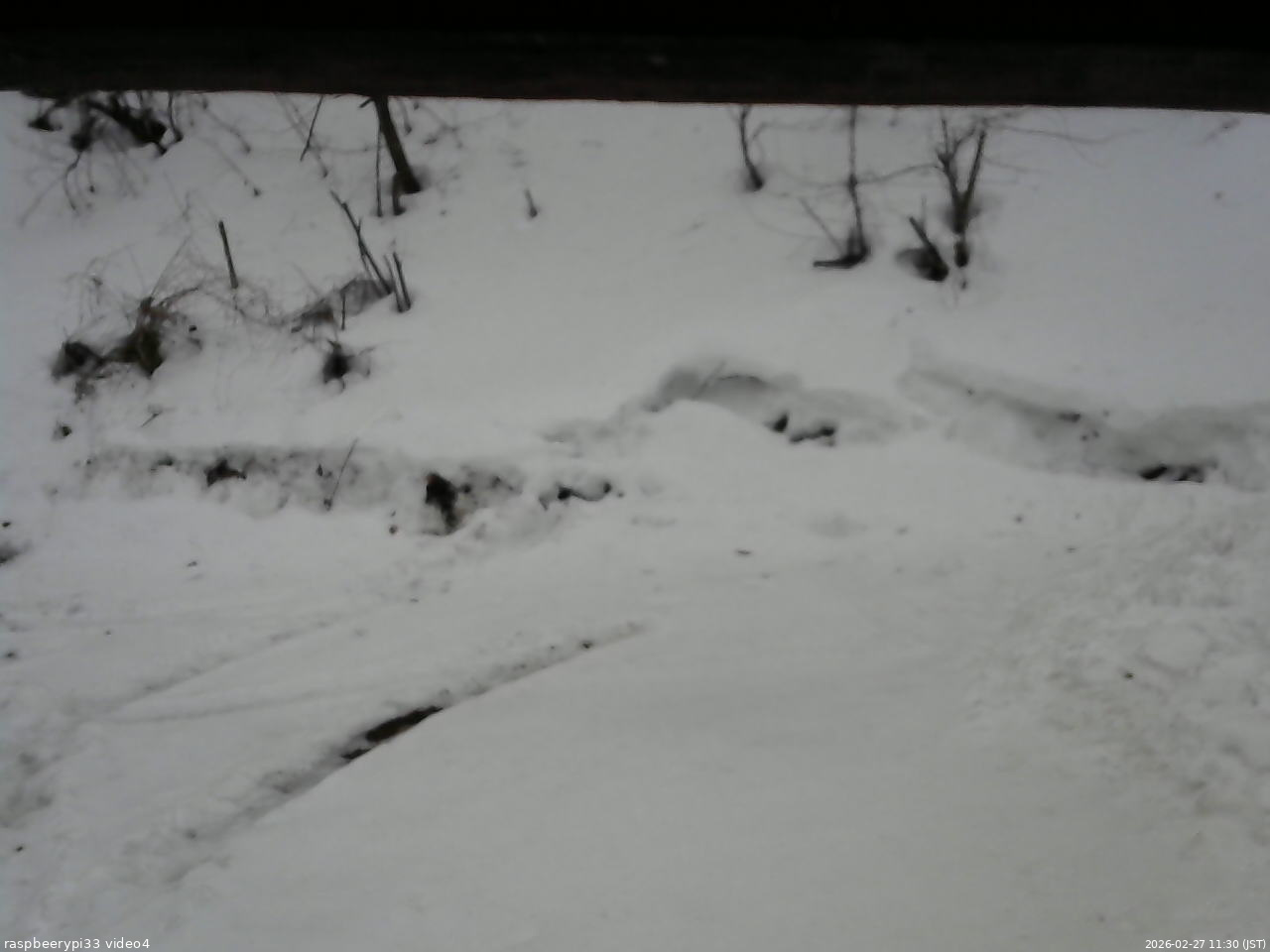 長野県菅平高原 ゆたか山荘 東側(坂下) 2026/02/27 11:30