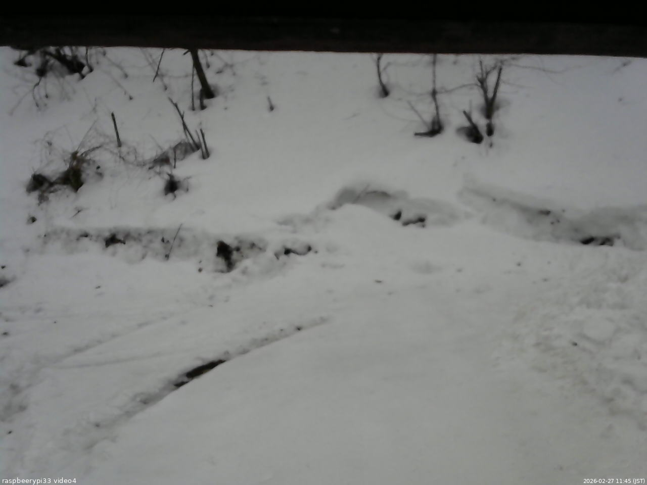 長野県菅平高原 ゆたか山荘 東側(坂下) 2026/02/27 11:45