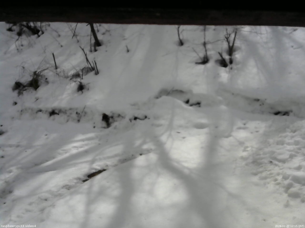 長野県菅平高原 ゆたか山荘 東側(坂下) 2026/02/27 12:15