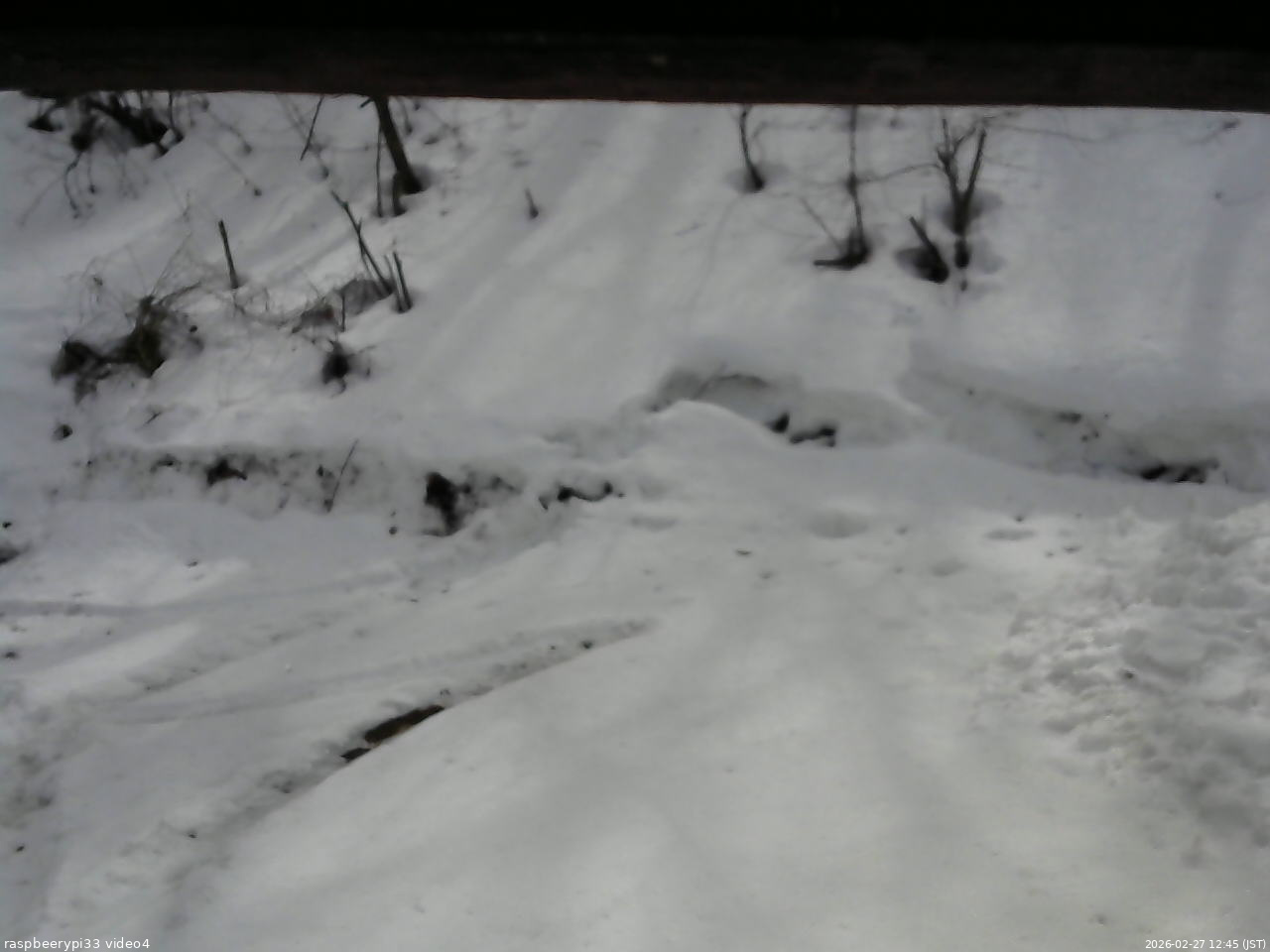 長野県菅平高原 ゆたか山荘 東側(坂下) 2026/02/27 12:45