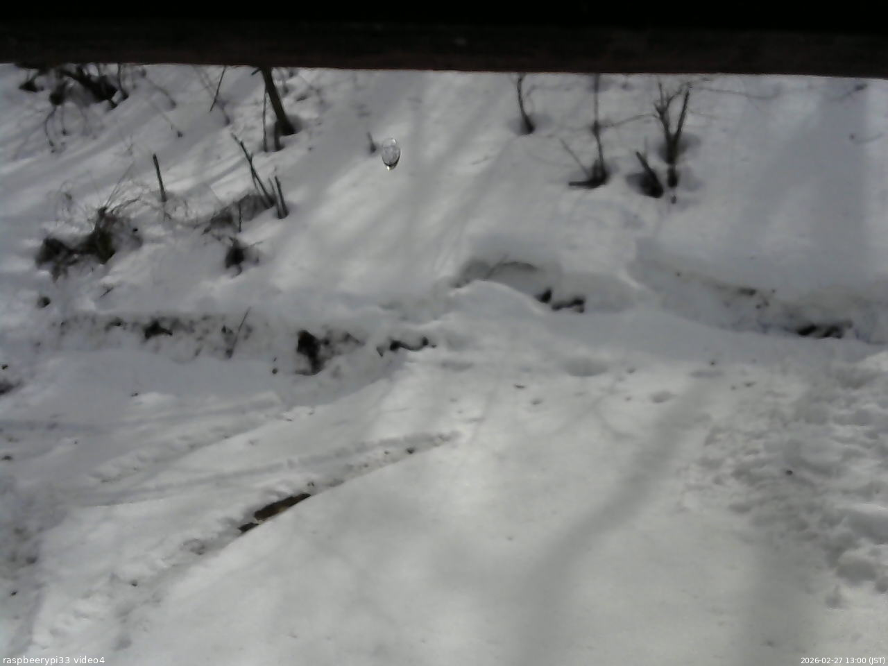 長野県菅平高原 ゆたか山荘 東側(坂下) 2026/02/27 13:00