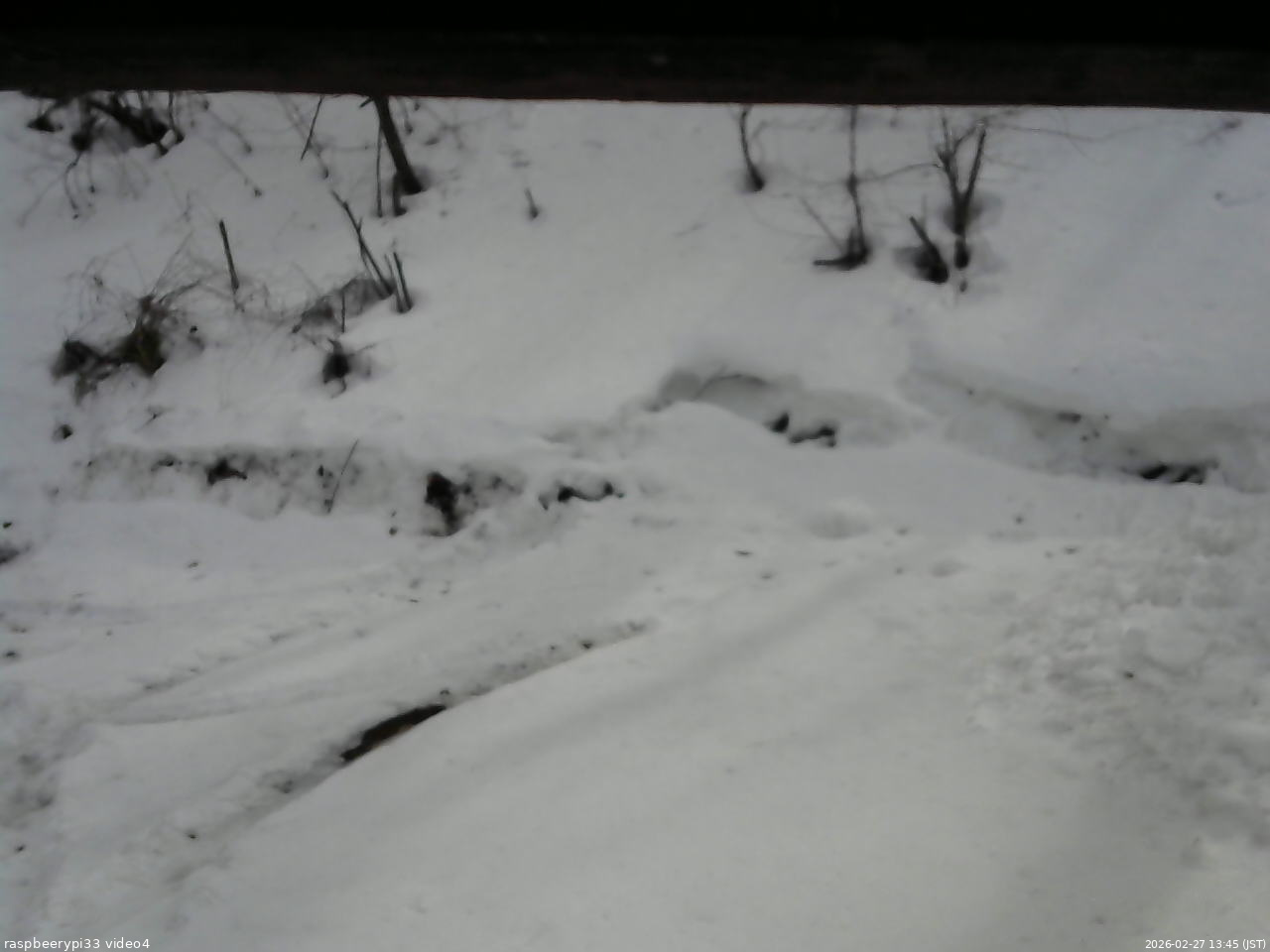 長野県菅平高原 ゆたか山荘 東側(坂下) 2026/02/27 13:45