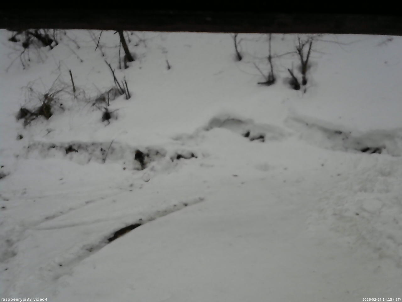 長野県菅平高原 ゆたか山荘 東側(坂下) 2026/02/27 14:15