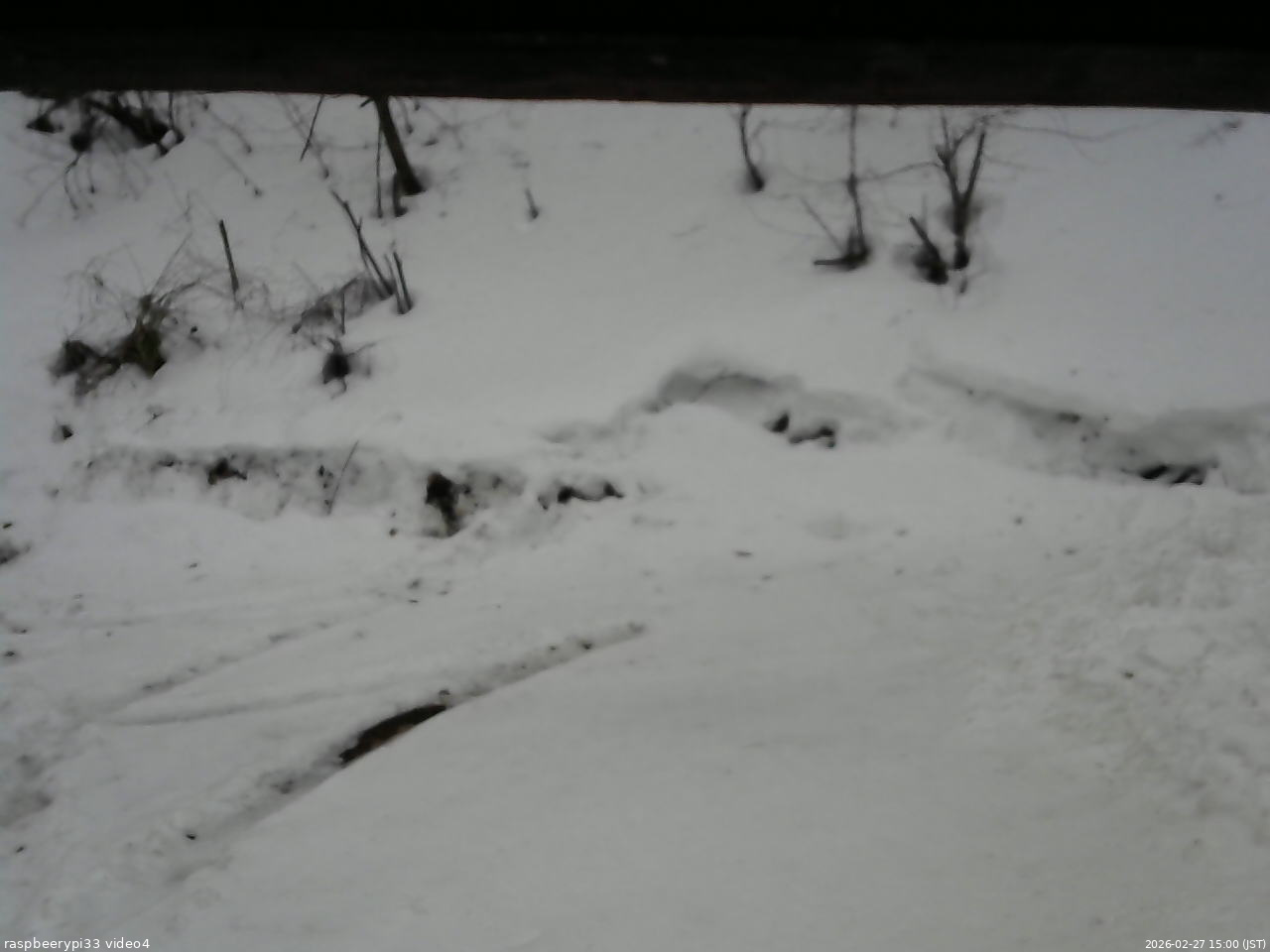長野県菅平高原 ゆたか山荘 東側(坂下) 2026/02/27 15:00