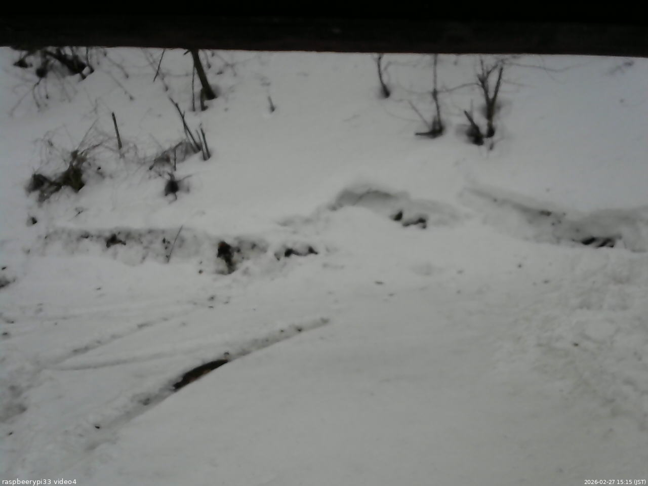 長野県菅平高原 ゆたか山荘 東側(坂下) 2026/02/27 15:15