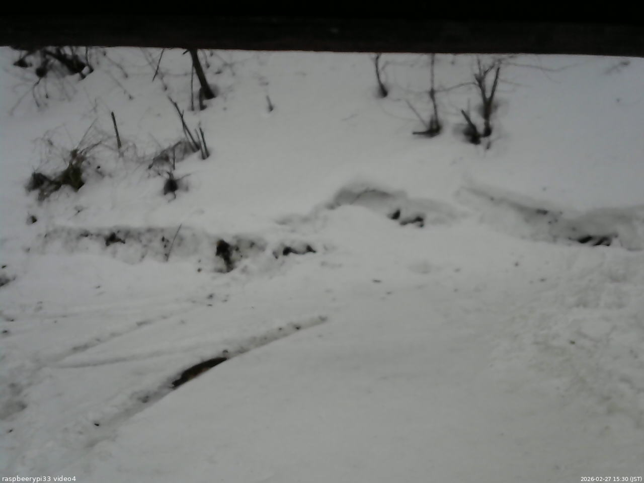 長野県菅平高原 ゆたか山荘 東側(坂下) 2026/02/27 15:30