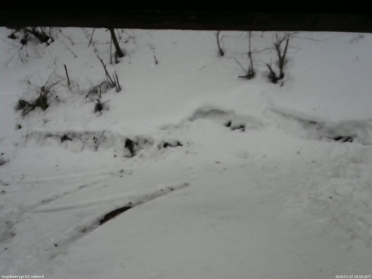 長野県菅平高原 ゆたか山荘 東側(坂下) 2026/02/27 16:00
