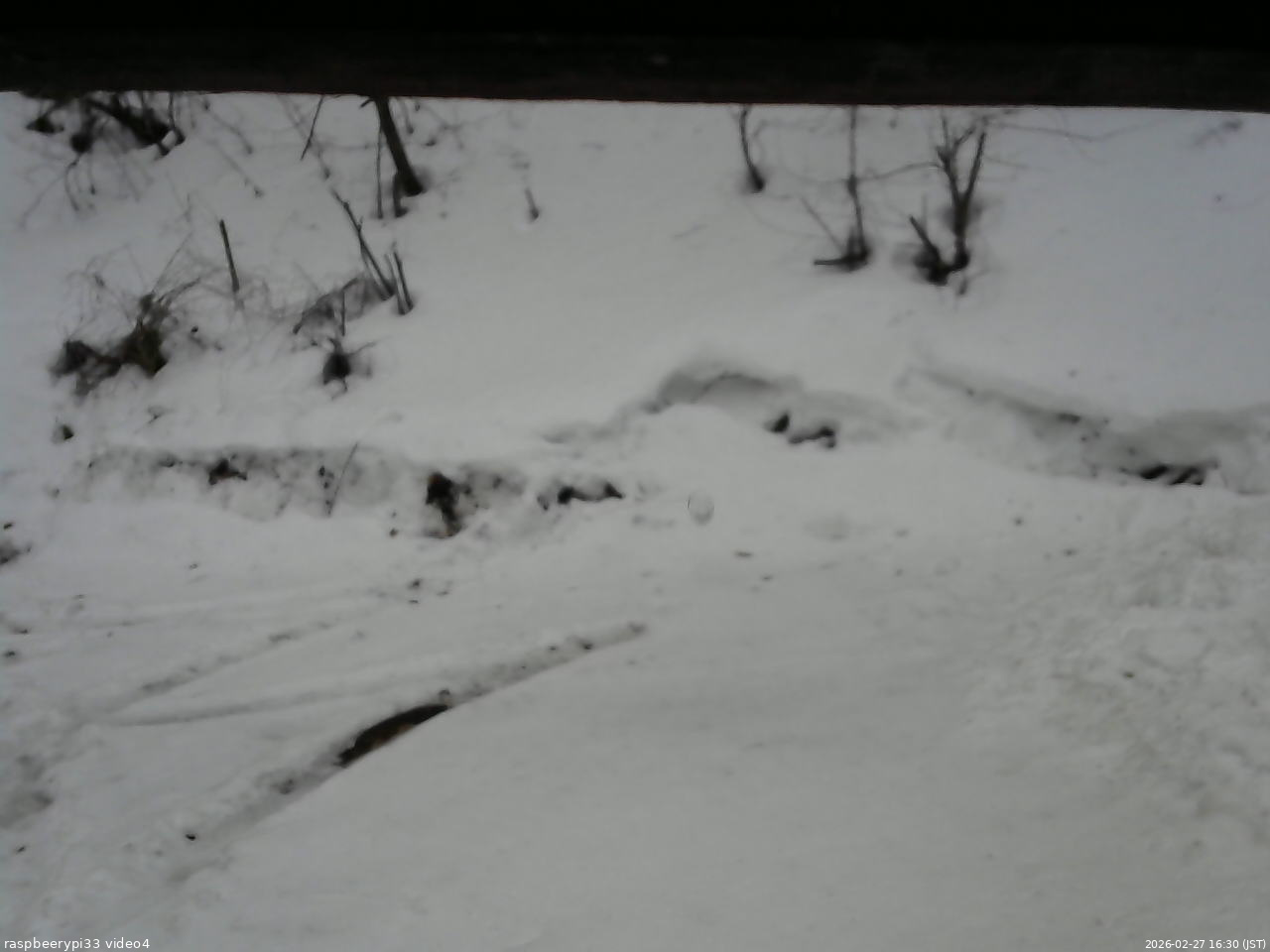 長野県菅平高原 ゆたか山荘 東側(坂下) 2026/02/27 16:30