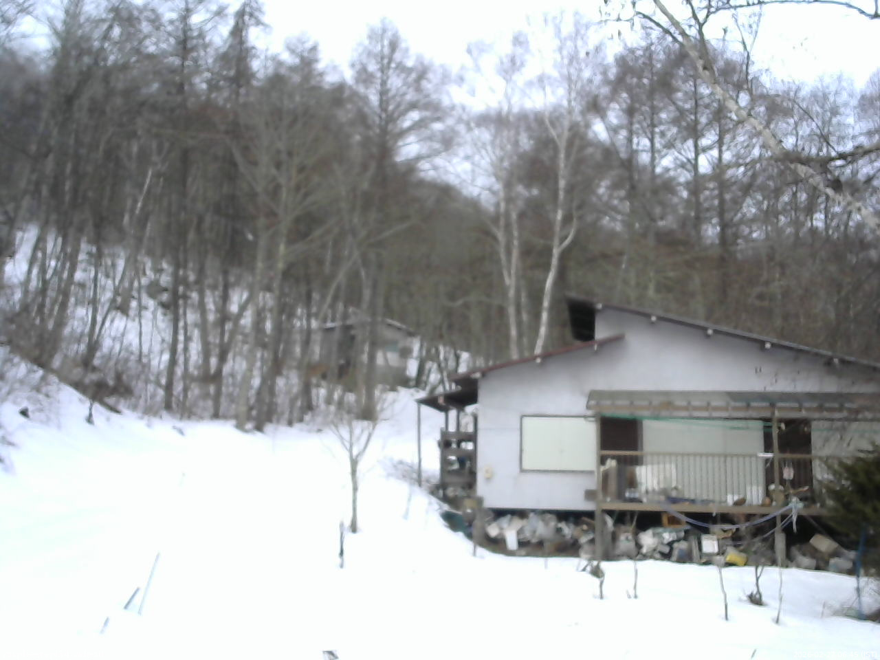 長野県菅平高原 ゆたか山荘 西側(坂上) 2026/02/27 06:45