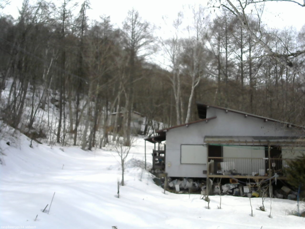 長野県菅平高原 ゆたか山荘 西側(坂上) 2026/02/27 13:00