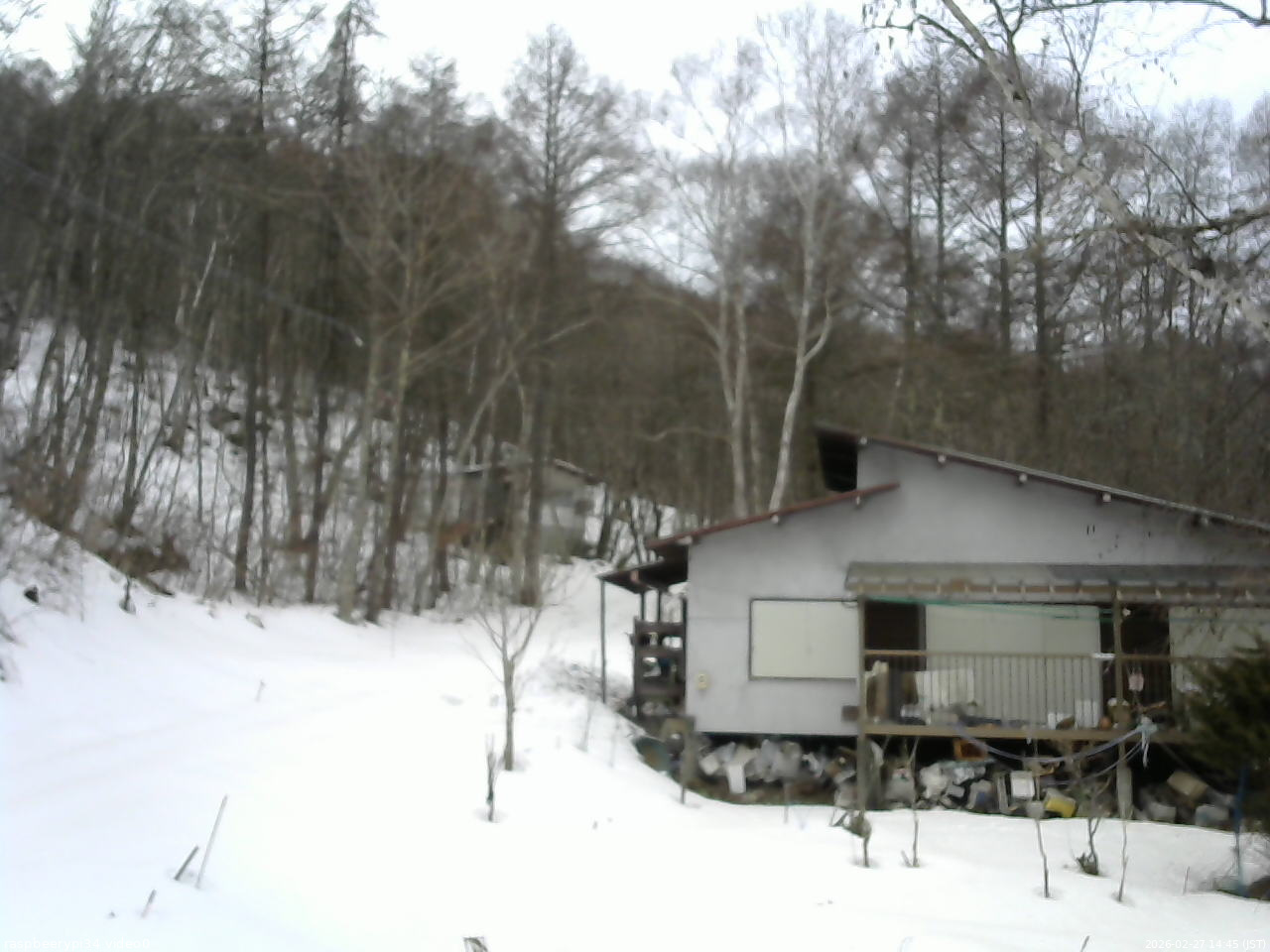 長野県菅平高原 ゆたか山荘 西側(坂上) 2026/02/27 14:45