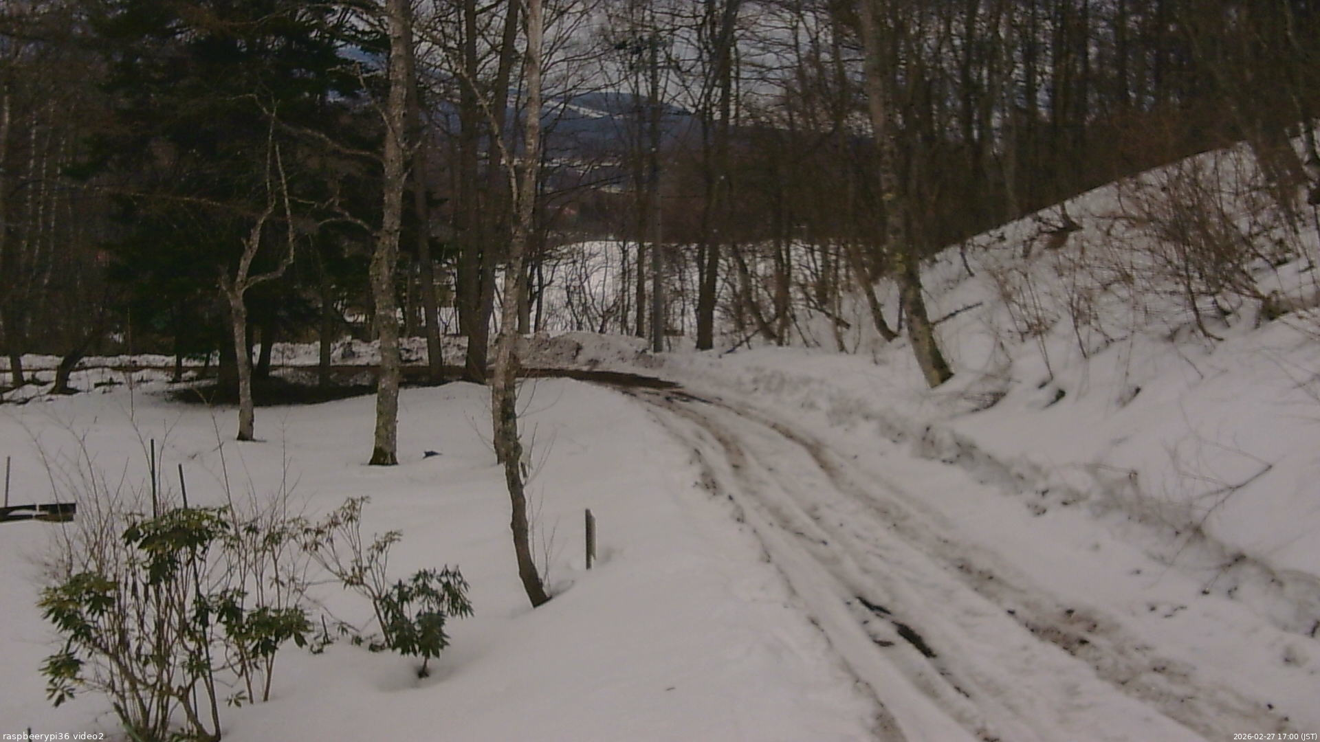 長野県菅平高原 ゆたか山荘 駐車場奥 2026/02/27 17:00
