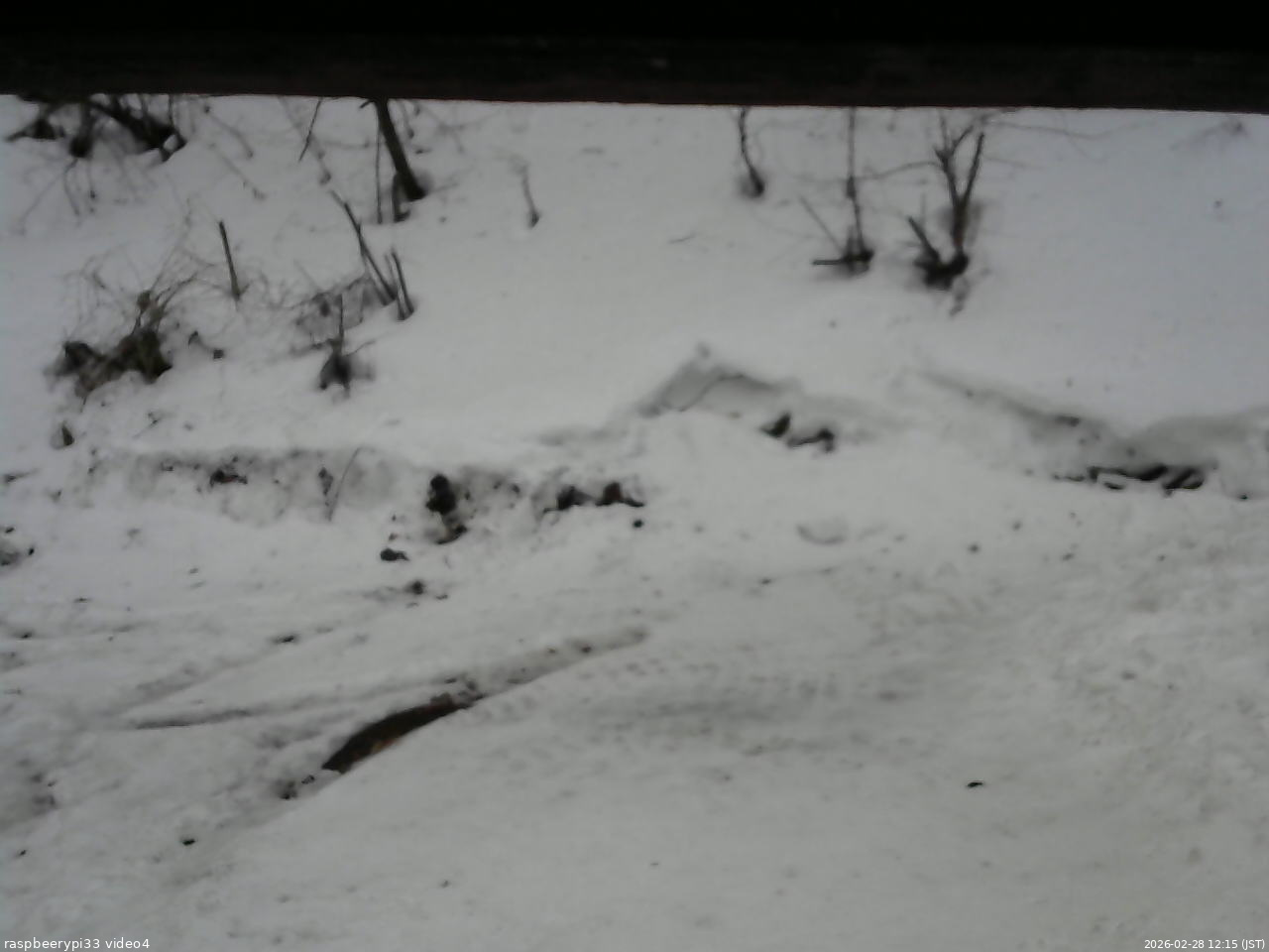 長野県菅平高原 ゆたか山荘 東側(坂下) 2026/02/28 12:15