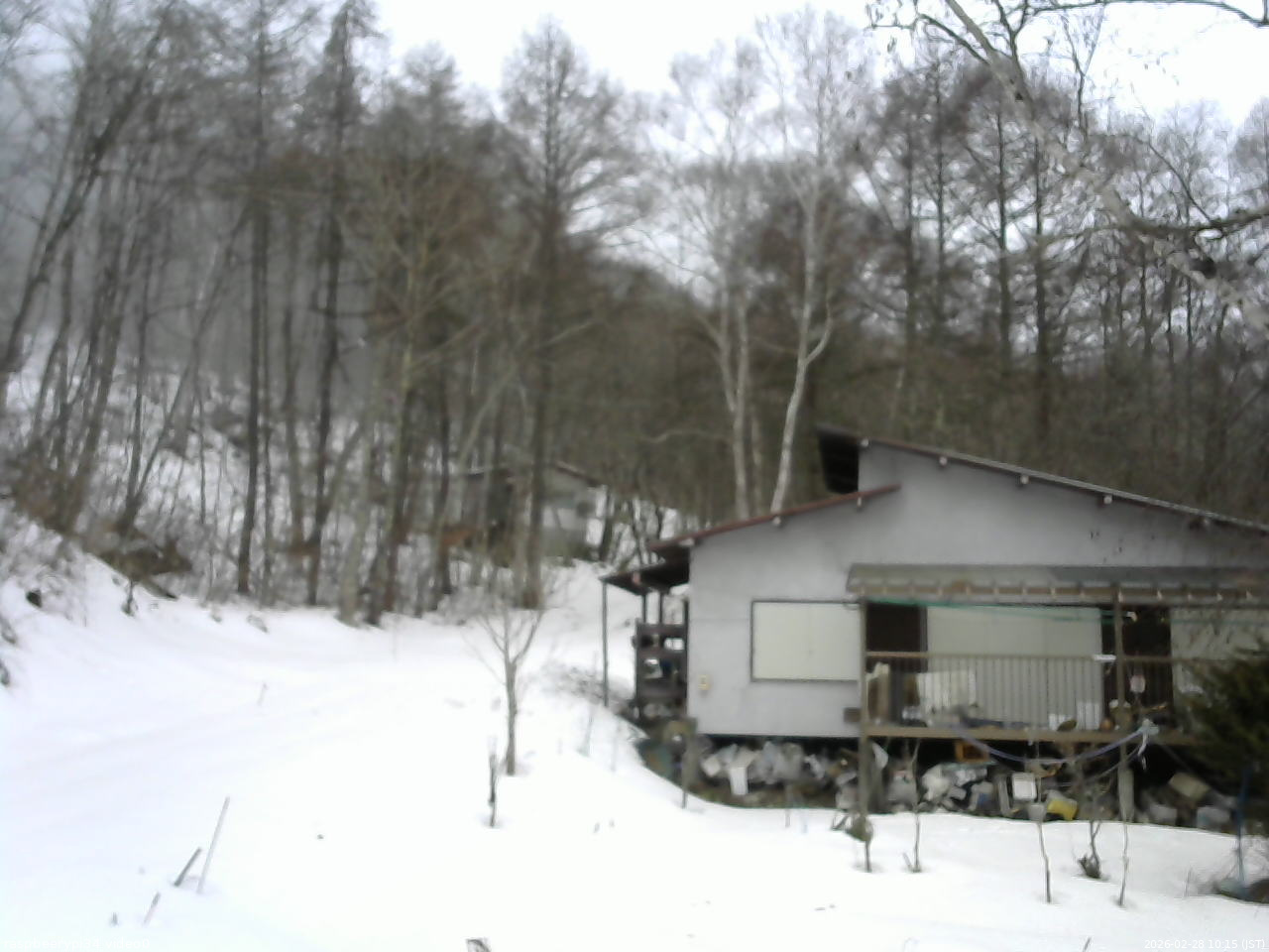 長野県菅平高原 ゆたか山荘 西側(坂上) 2026/02/28 10:15