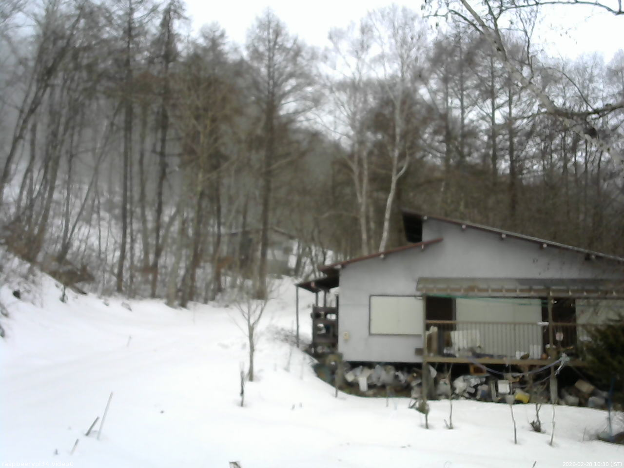 長野県菅平高原 ゆたか山荘 西側(坂上) 2026/02/28 10:30