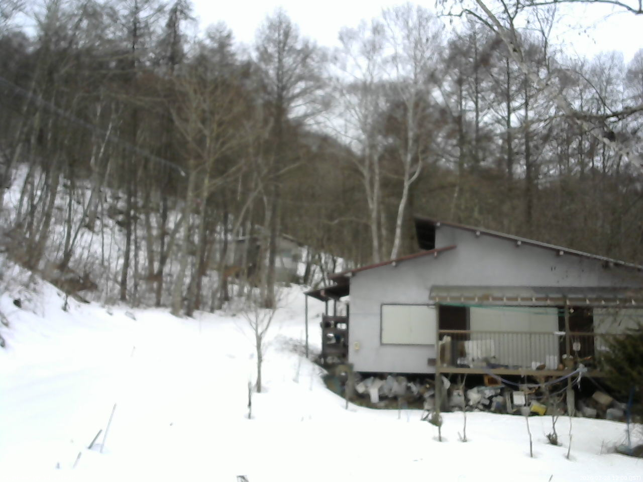 長野県菅平高原 ゆたか山荘 西側(坂上) 2026/02/28 12:00