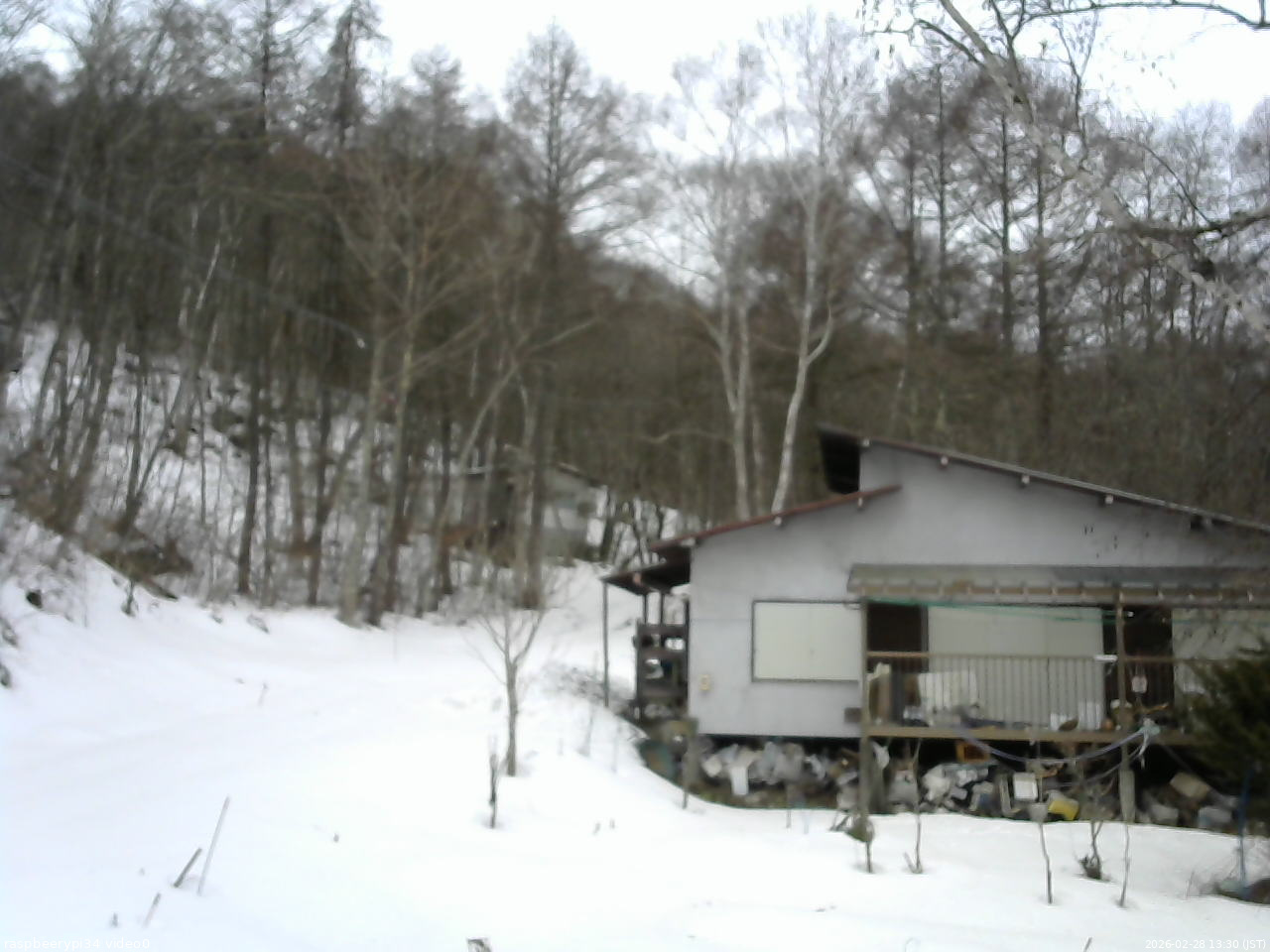 長野県菅平高原 ゆたか山荘 西側(坂上) 2026/02/28 13:30