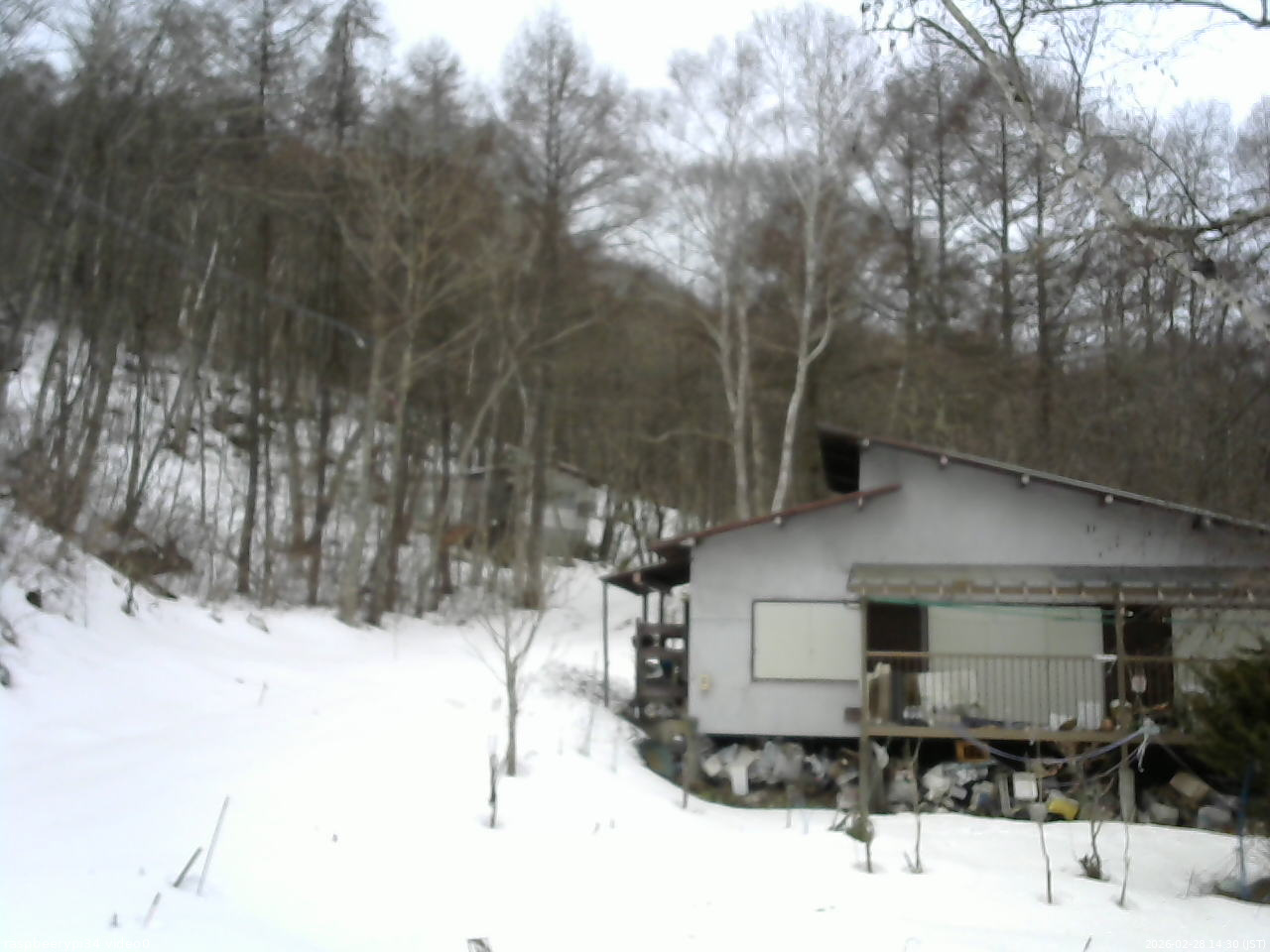 長野県菅平高原 ゆたか山荘 西側(坂上) 2026/02/28 14:30