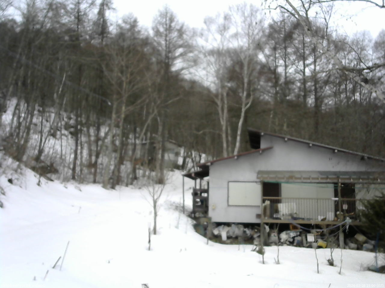 長野県菅平高原 ゆたか山荘 西側(坂上) 2026/02/28 15:00