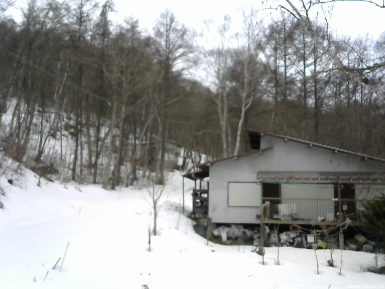 長野県菅平高原 ゆたか山荘 西側(坂上) 2026/02/28 16:00