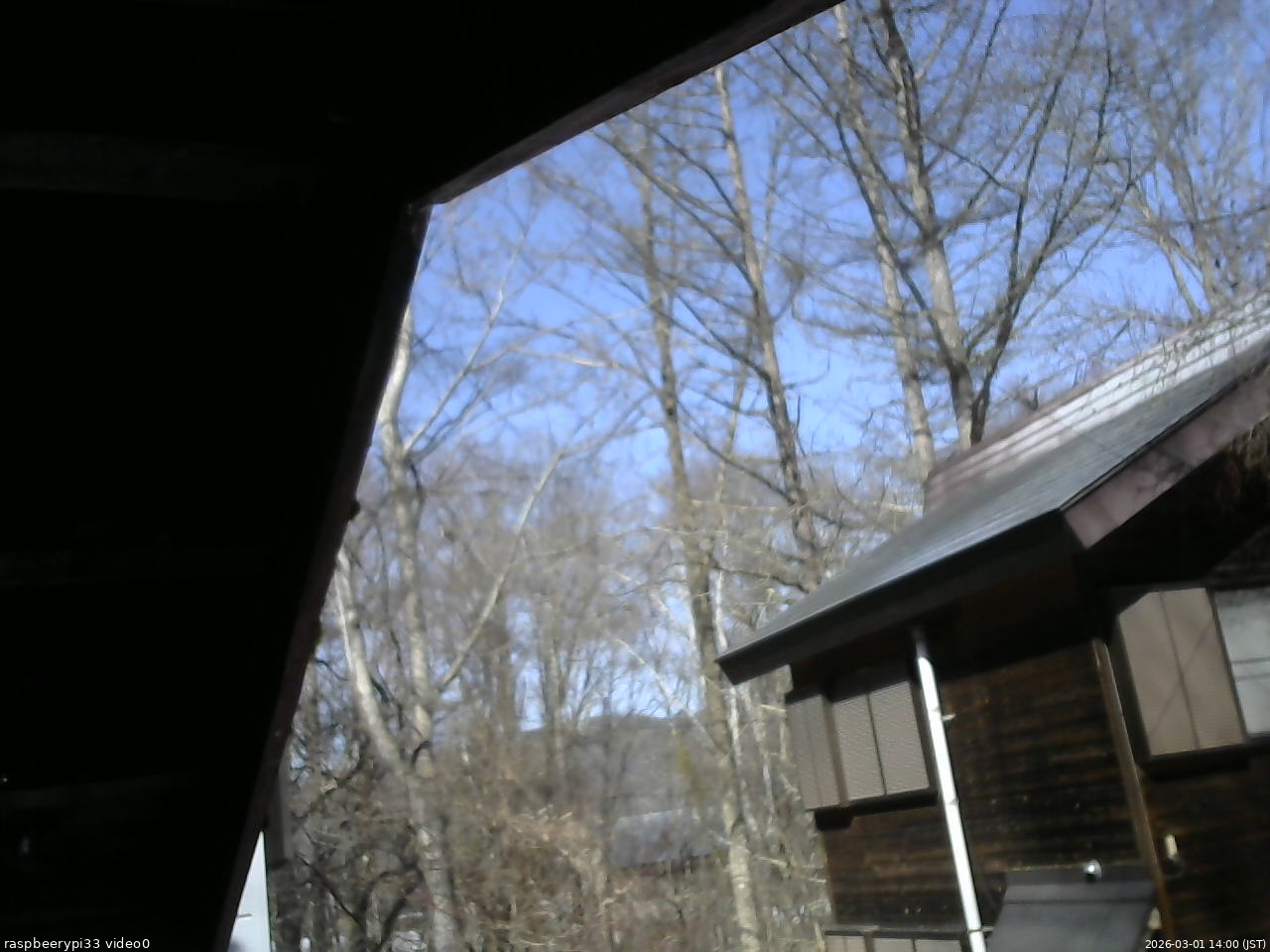 長野県菅平高原 ゆたか山荘 北側 2026/03/01 14:00