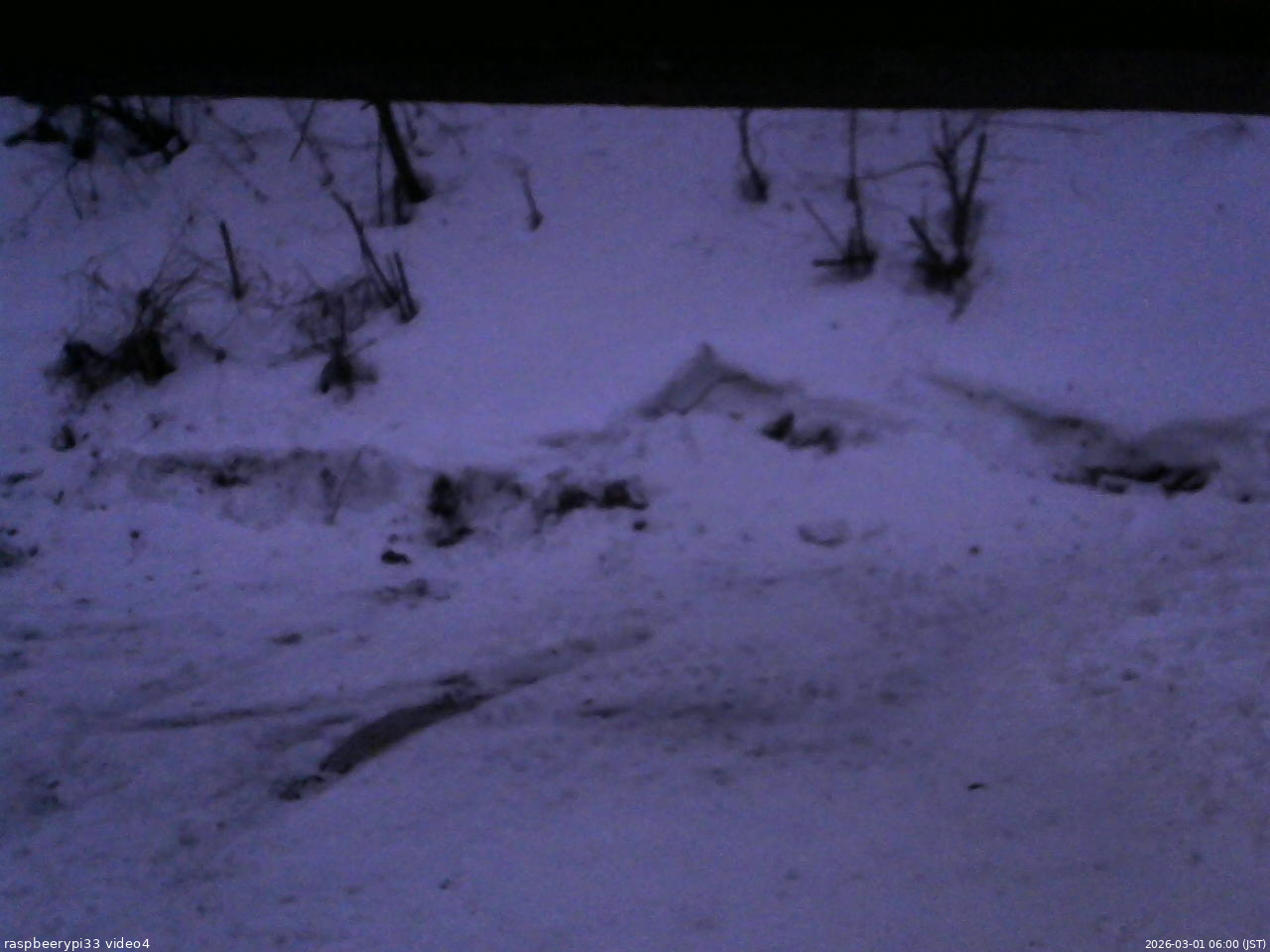 長野県菅平高原 ゆたか山荘 東側(坂下) 2026/03/01 06:00