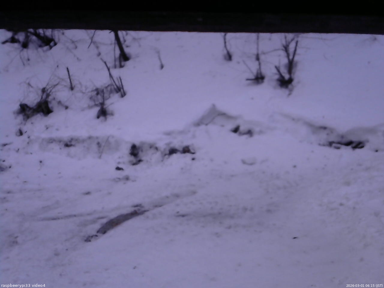長野県菅平高原 ゆたか山荘 東側(坂下) 2026/03/01 06:15