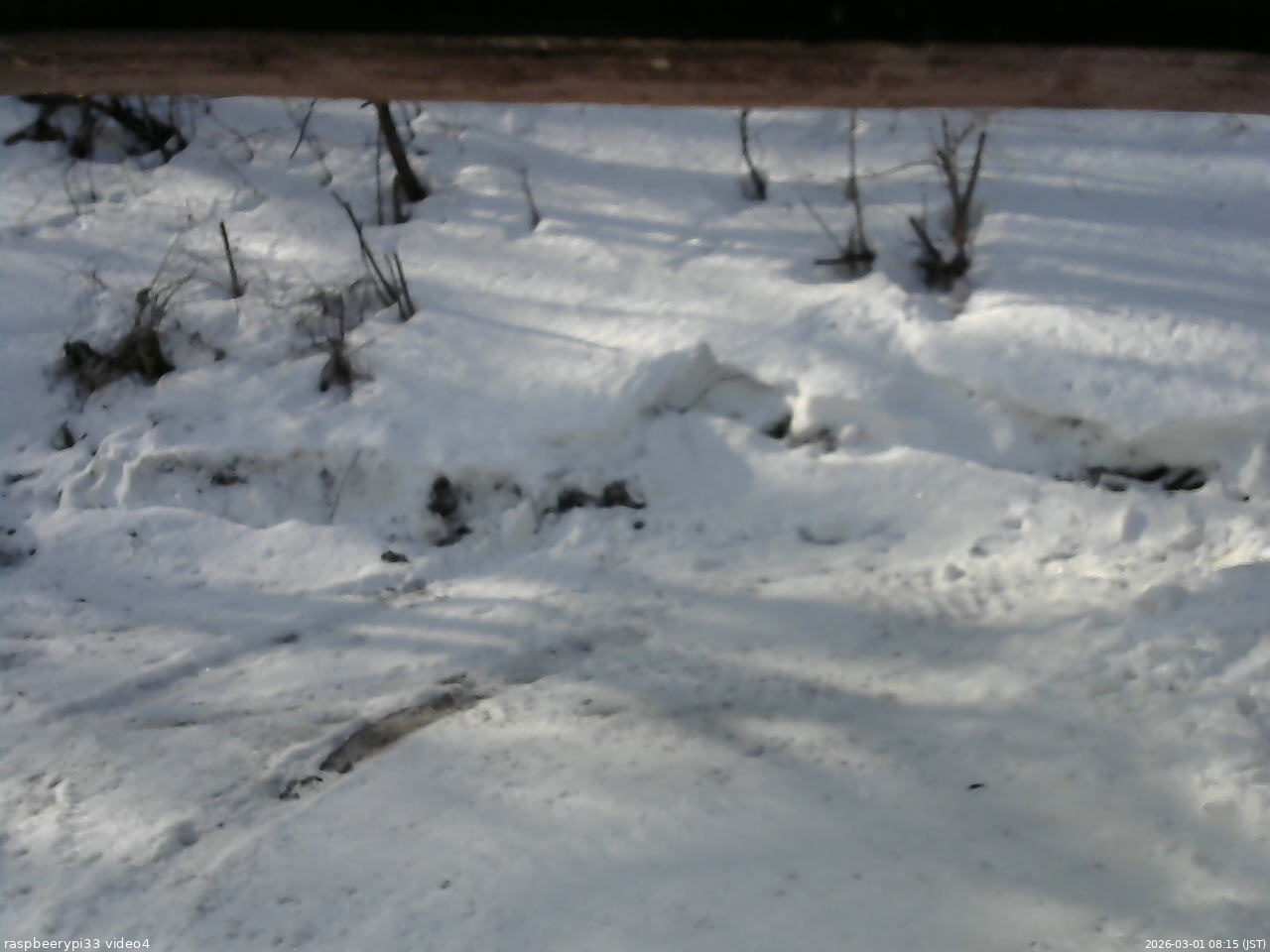 長野県菅平高原 ゆたか山荘 東側(坂下) 2026/03/01 08:15