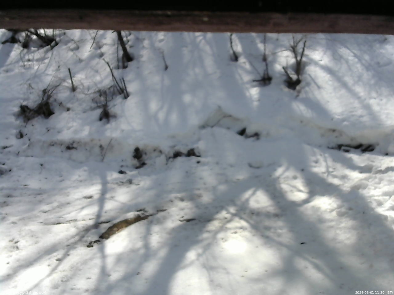 長野県菅平高原 ゆたか山荘 東側(坂下) 2026/03/01 11:30