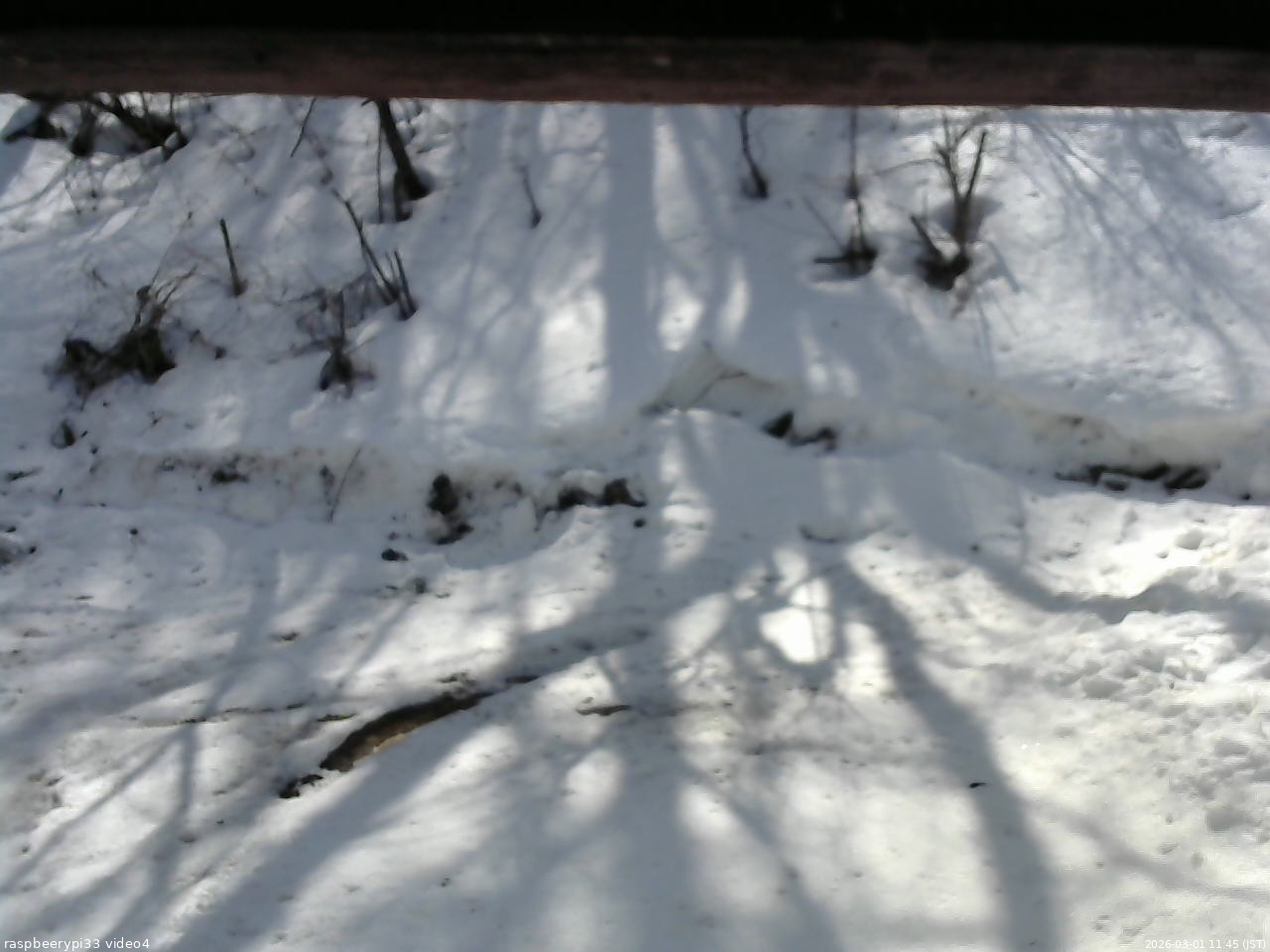 長野県菅平高原 ゆたか山荘 東側(坂下) 2026/03/01 11:45