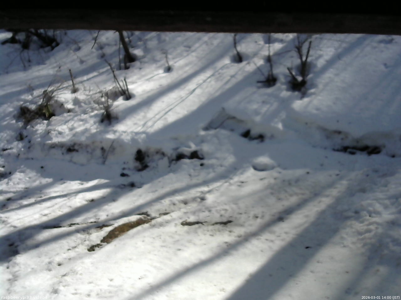 長野県菅平高原 ゆたか山荘 東側(坂下) 2026/03/01 14:00