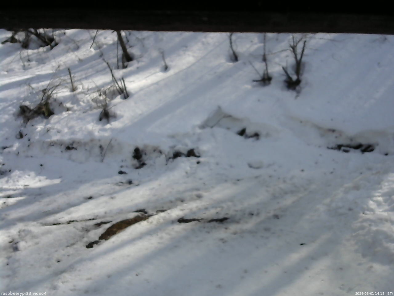 長野県菅平高原 ゆたか山荘 東側(坂下) 2026/03/01 14:15