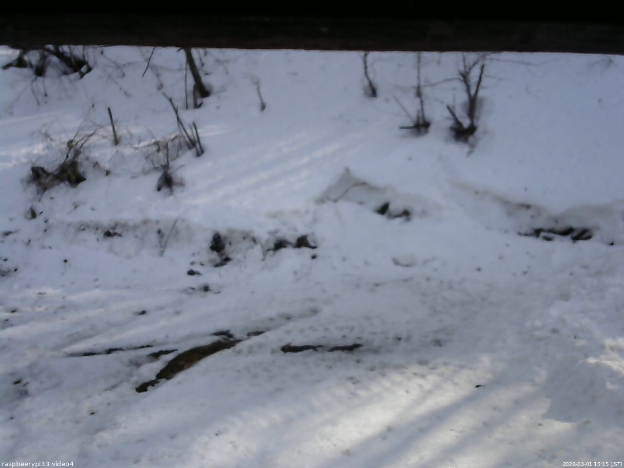 長野県菅平高原 ゆたか山荘 東側(坂下) 2026/03/01 15:15
