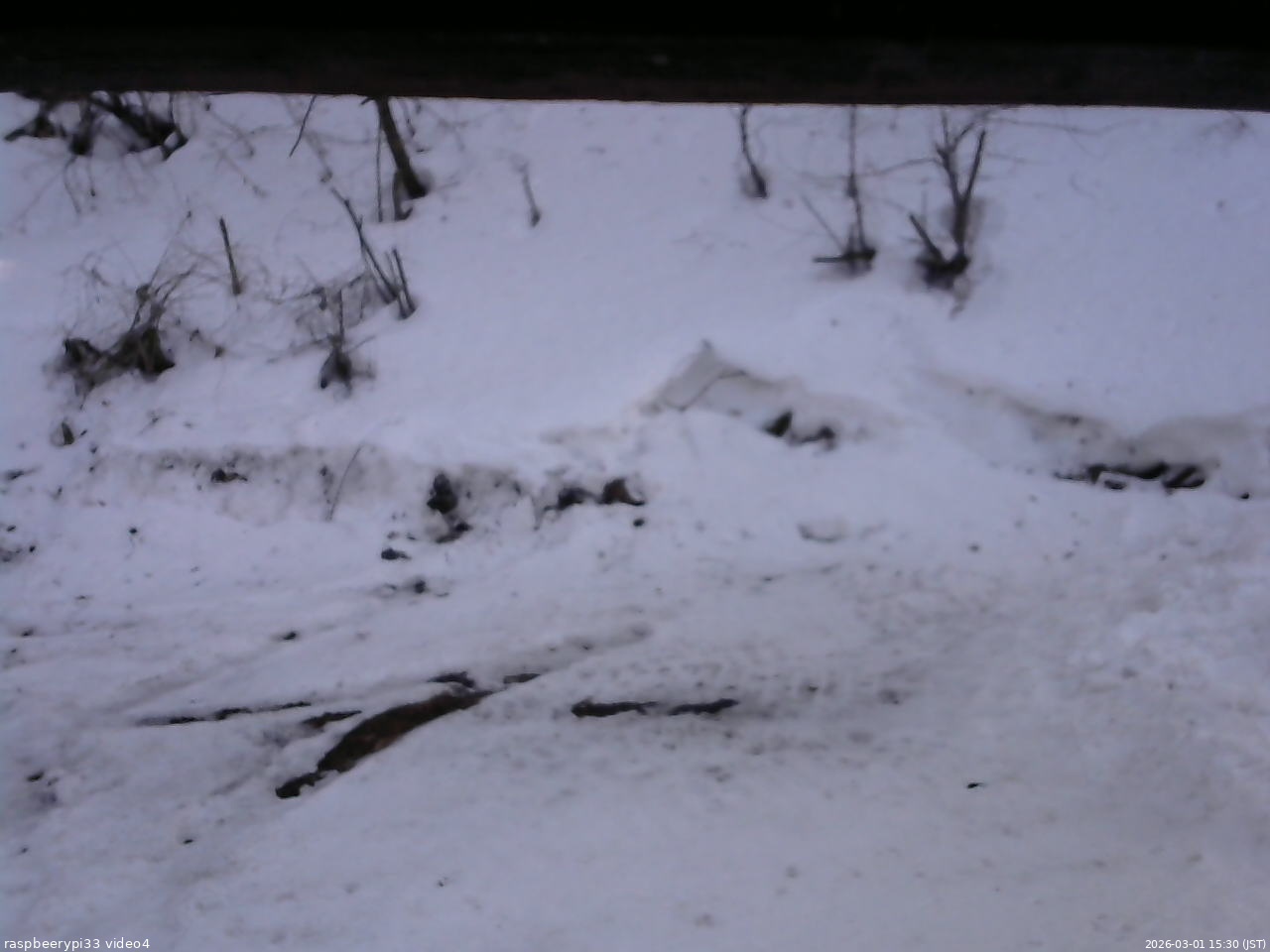 長野県菅平高原 ゆたか山荘 東側(坂下) 2026/03/01 15:30