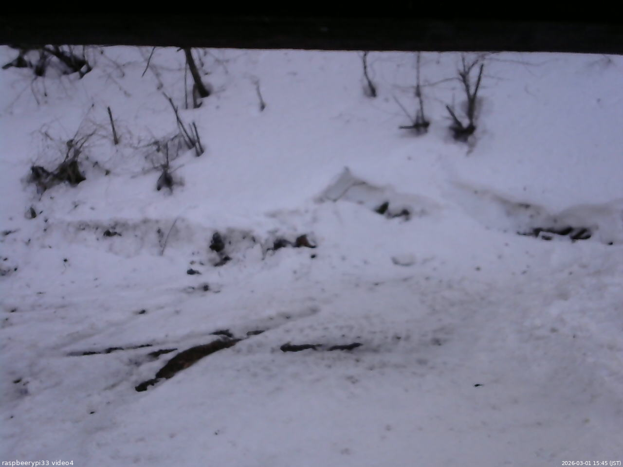 長野県菅平高原 ゆたか山荘 東側(坂下) 2026/03/01 15:45