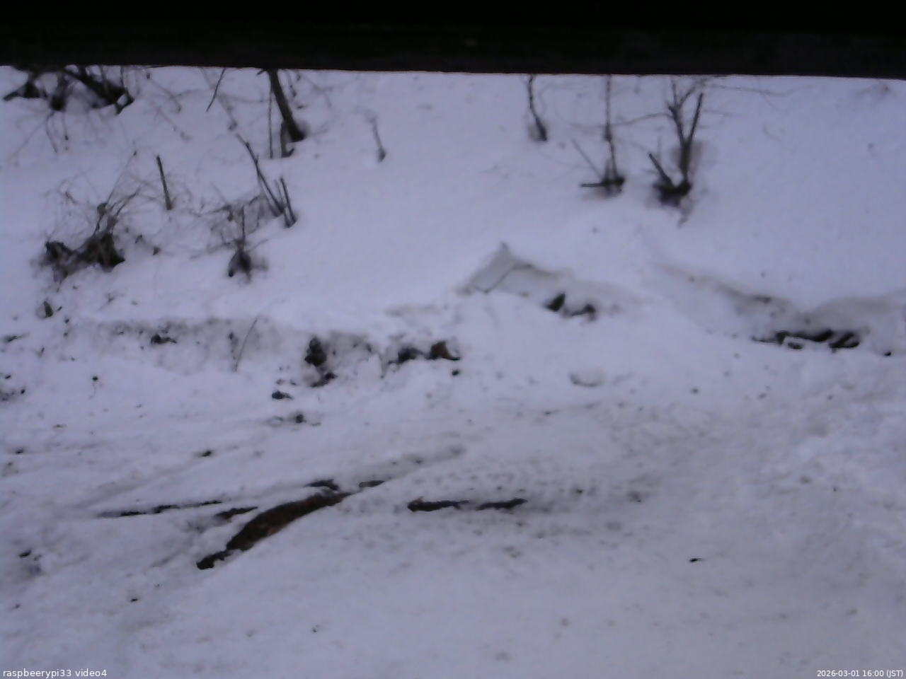 長野県菅平高原 ゆたか山荘 東側(坂下) 2026/03/01 16:00