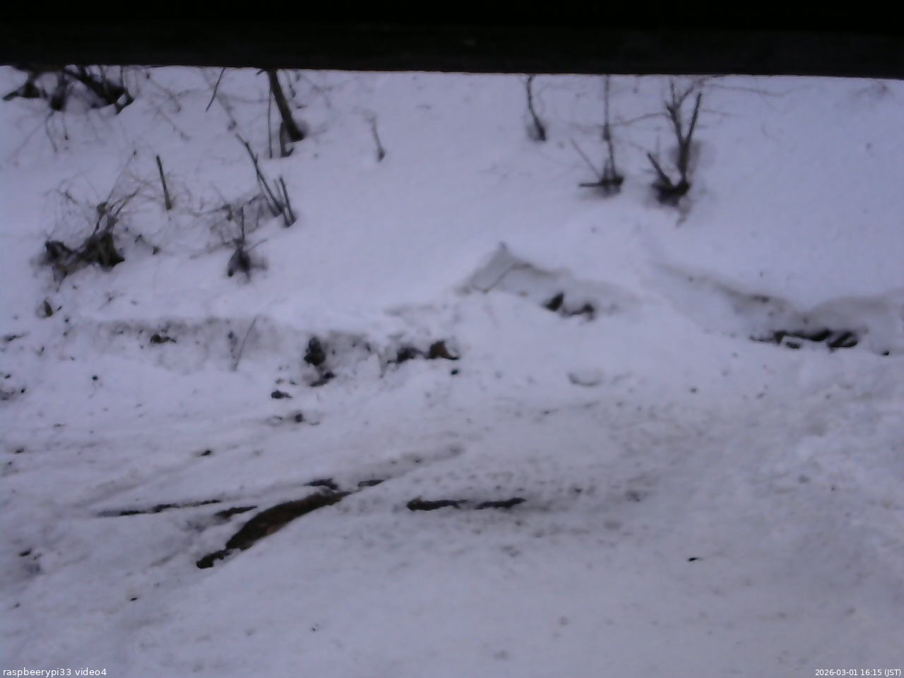 長野県菅平高原 ゆたか山荘 東側(坂下) 2026/03/01 16:15
