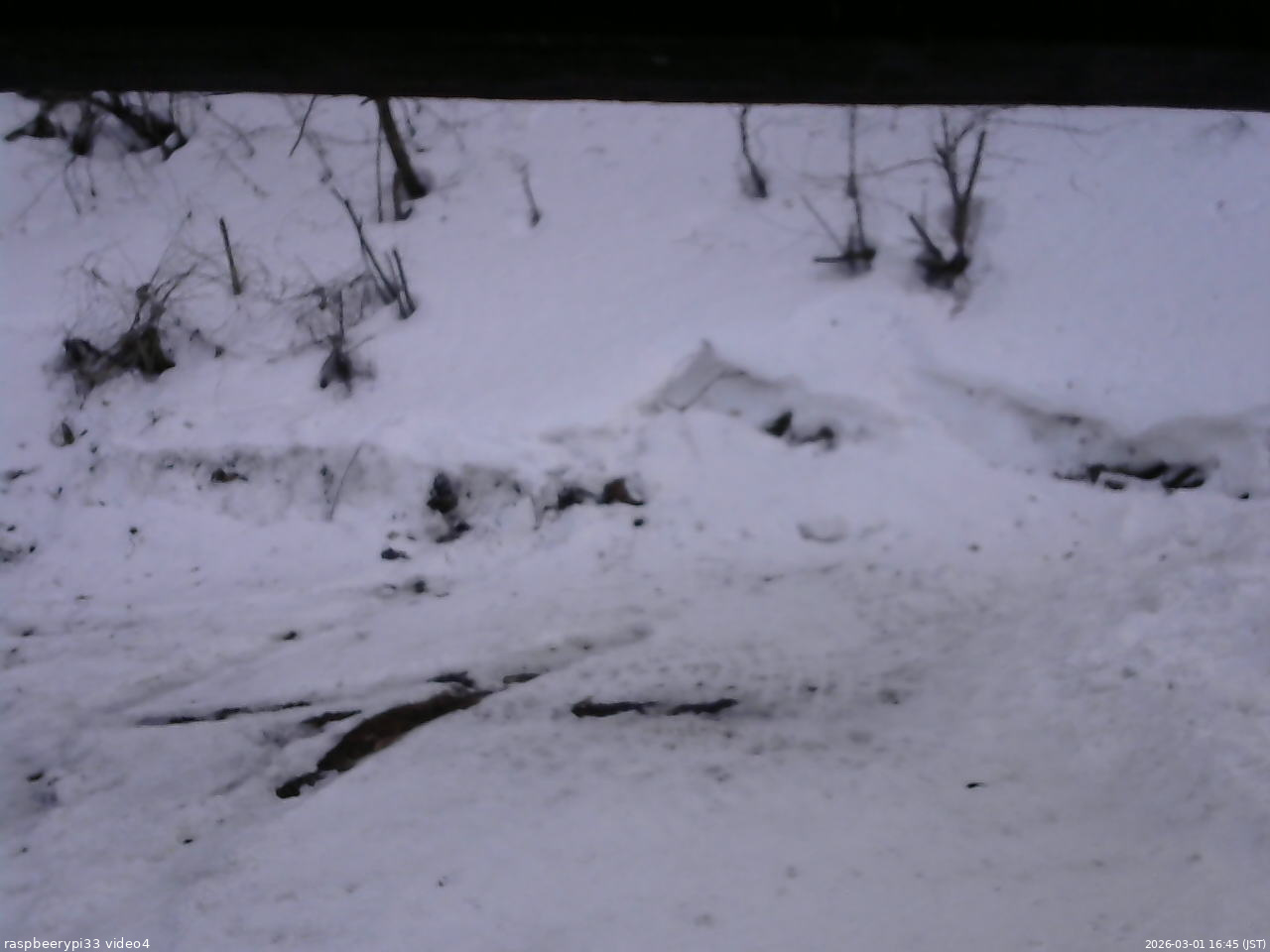 長野県菅平高原 ゆたか山荘 東側(坂下) 2026/03/01 16:45