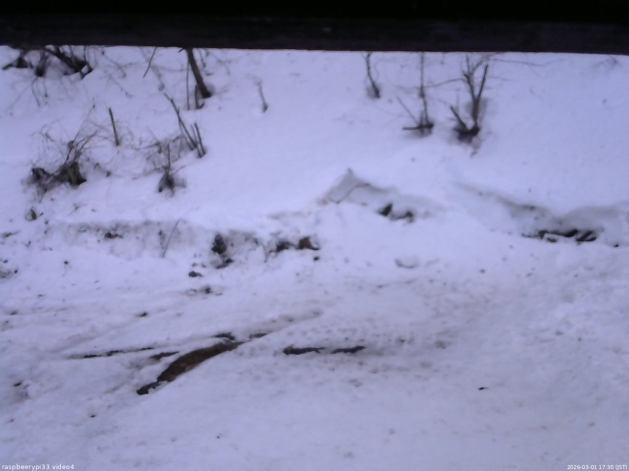 長野県菅平高原 ゆたか山荘 東側(坂下) 2026/03/01 17:30
