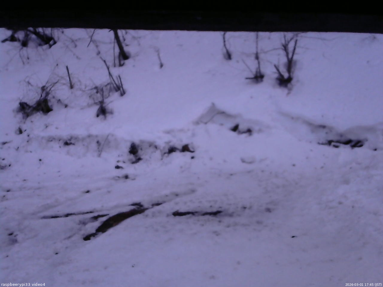 長野県菅平高原 ゆたか山荘 東側(坂下) 2026/03/01 17:45