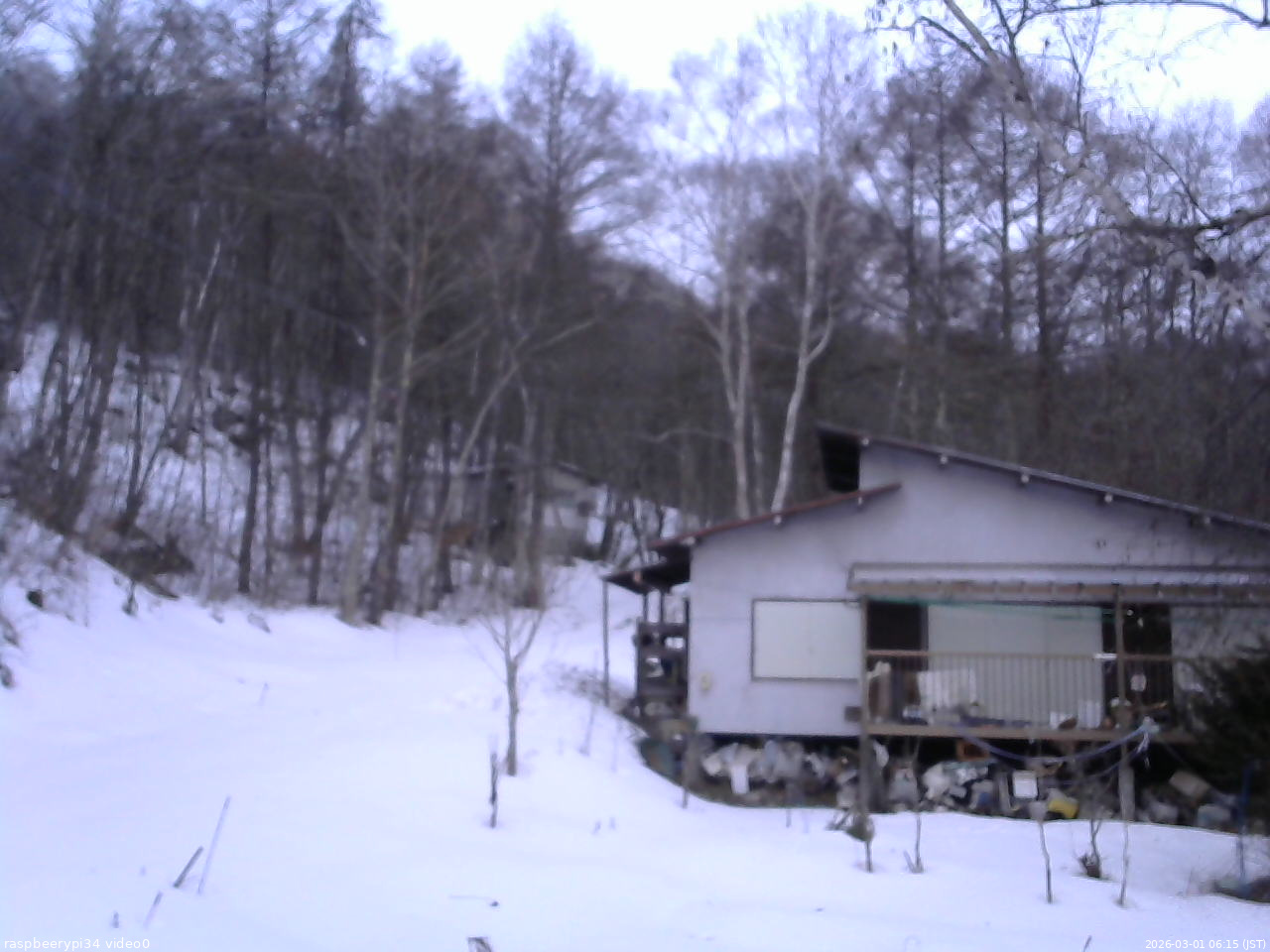 長野県菅平高原 ゆたか山荘 西側(坂上) 2026/03/01 06:15