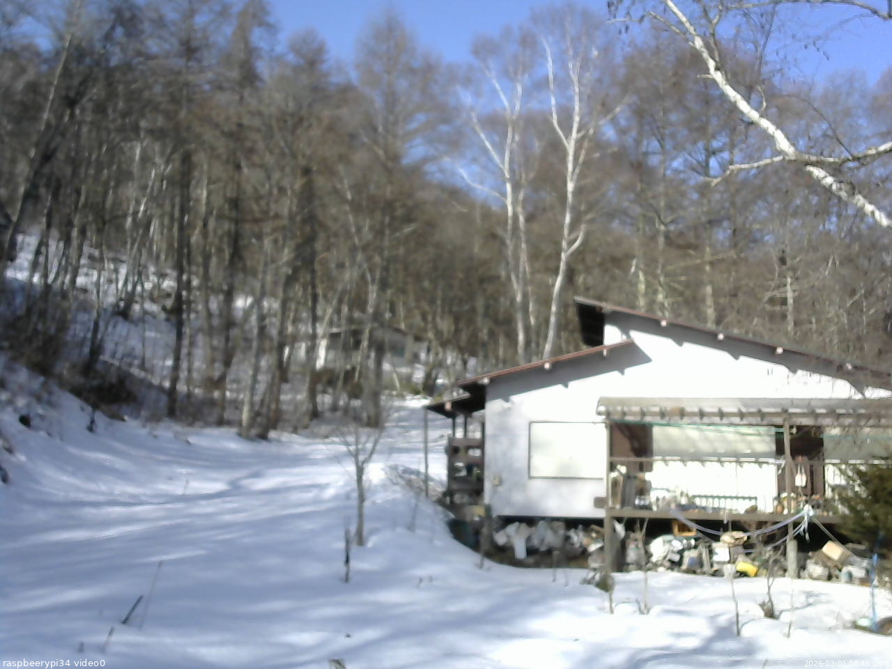 長野県菅平高原 ゆたか山荘 西側(坂上) 2026/03/01 08:45