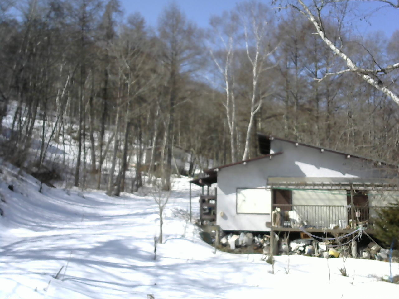 長野県菅平高原 ゆたか山荘 西側(坂上) 2026/03/01 10:30