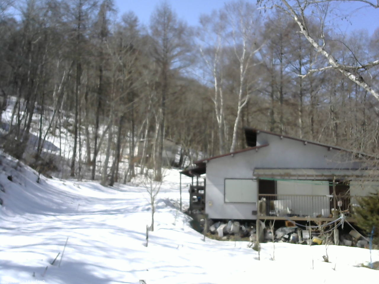 長野県菅平高原 ゆたか山荘 西側(坂上) 2026/03/01 11:30