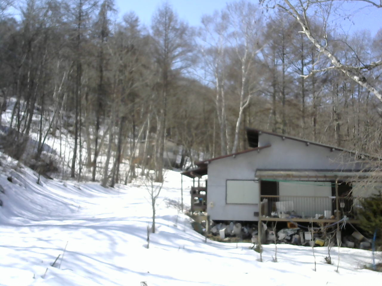 長野県菅平高原 ゆたか山荘 西側(坂上) 2026/03/01 12:15