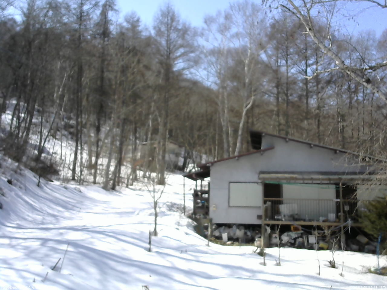 長野県菅平高原 ゆたか山荘 西側(坂上) 2026/03/01 12:45