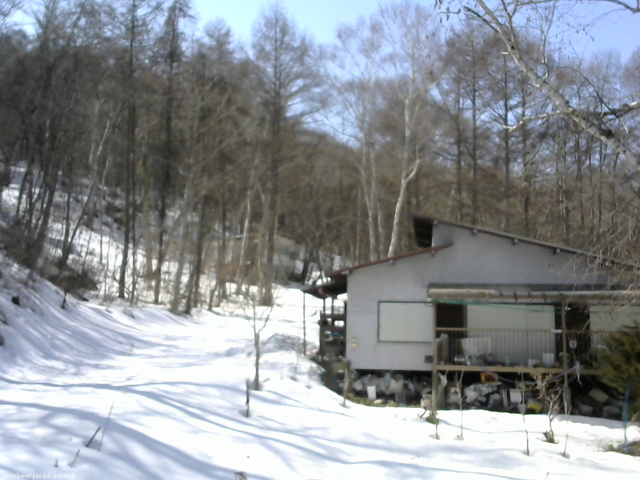 長野県菅平高原 ゆたか山荘 西側(坂上) 2026/03/01 13:00
