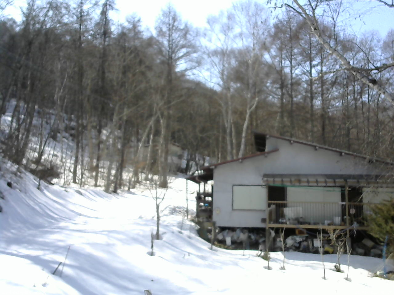 長野県菅平高原 ゆたか山荘 西側(坂上) 2026/03/01 13:45