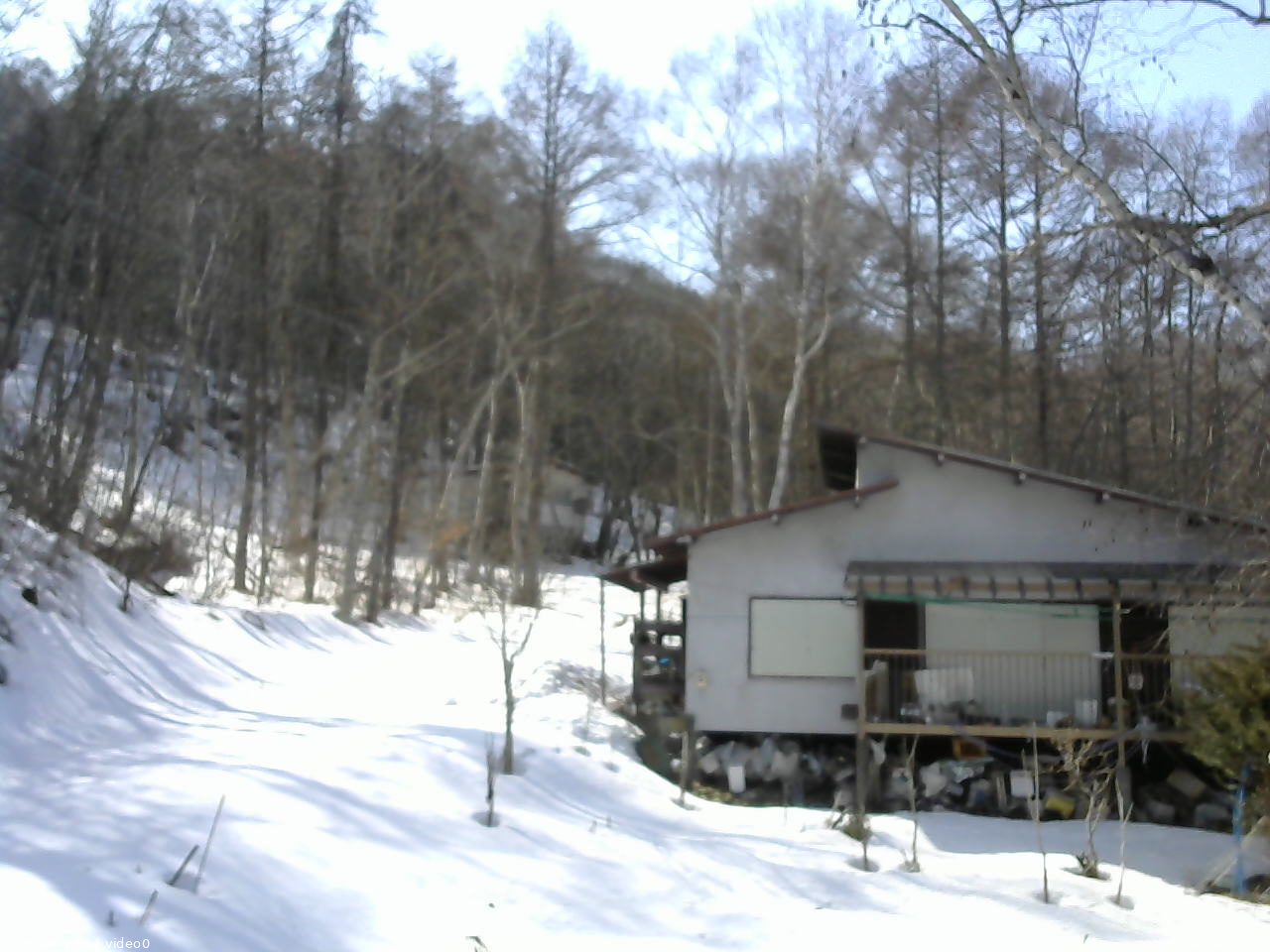 長野県菅平高原 ゆたか山荘 西側(坂上) 2026/03/01 14:00