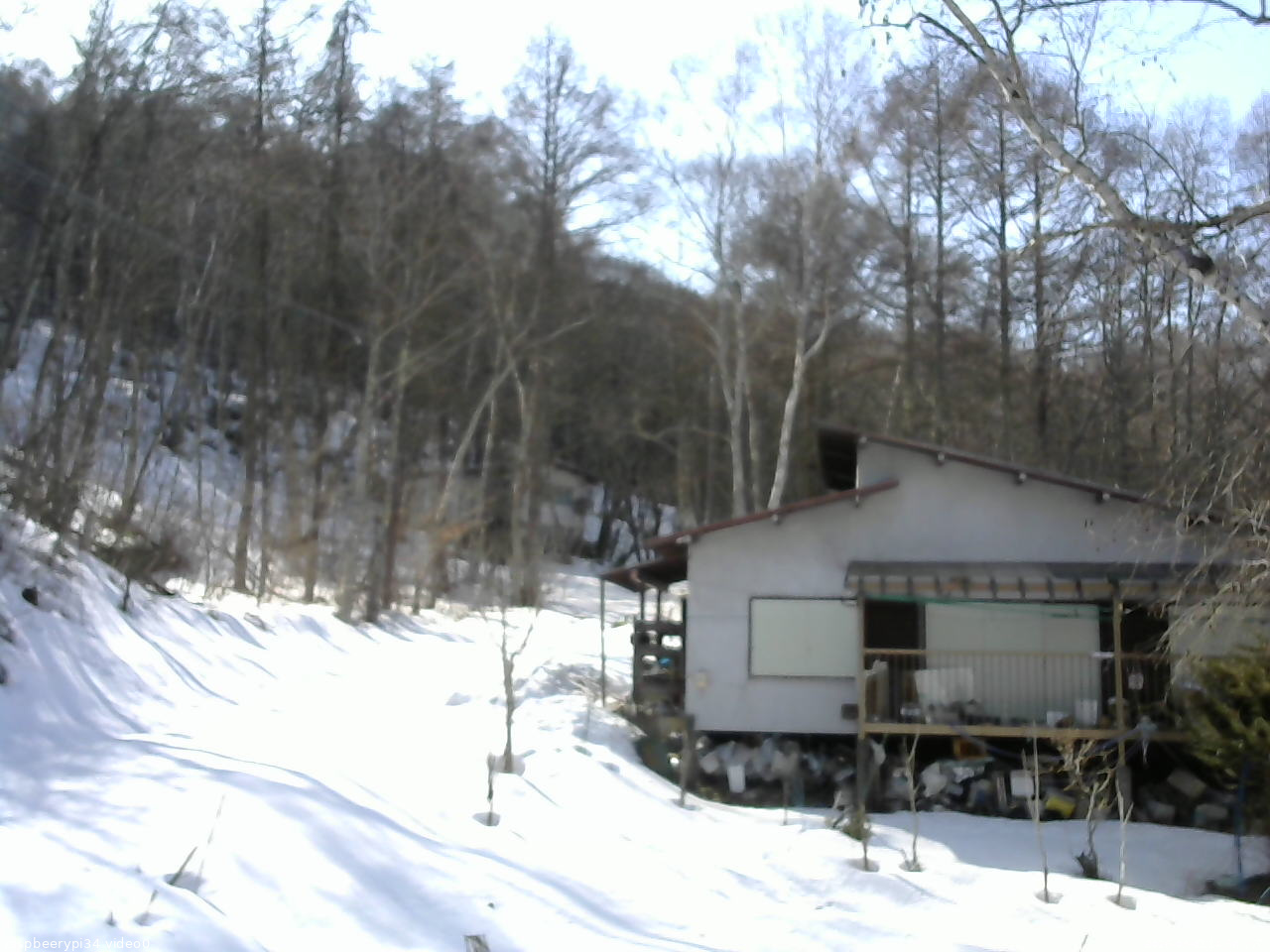 長野県菅平高原 ゆたか山荘 西側(坂上) 2026/03/01 14:30
